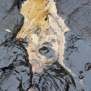 OILEX ABSORBENT 50L Freshzone 39