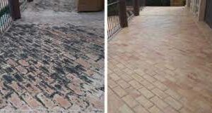 ANTIMOFO | Remove manchas de mofo 6 Kg (1 unidade) Freshzone 34