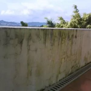 ANTIMOFO | Remove manchas de mofo 6 Kg (1 unidade) Freshzone 36