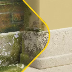 ANTIMOFO | Remove manchas de mofo 6 Kg (1 unidade) Freshzone 35