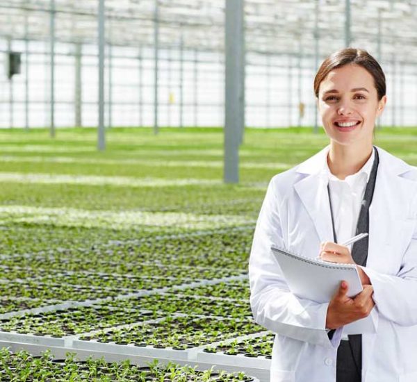 Agro-alimentar Agro-alimentar